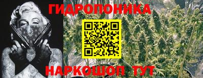 таблы Обь