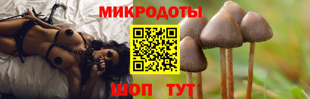 Сосновый Бор  Псилоцибиновые грибы мицелий  Вход с VPN 